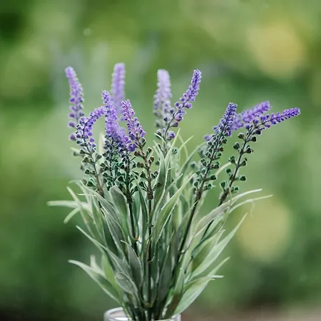 Cleabarrow View 윈더미어